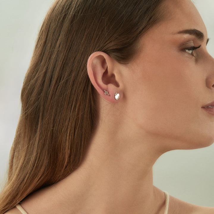 PENDIENTES ASIMÉTRICOS DE PLATA EDEN