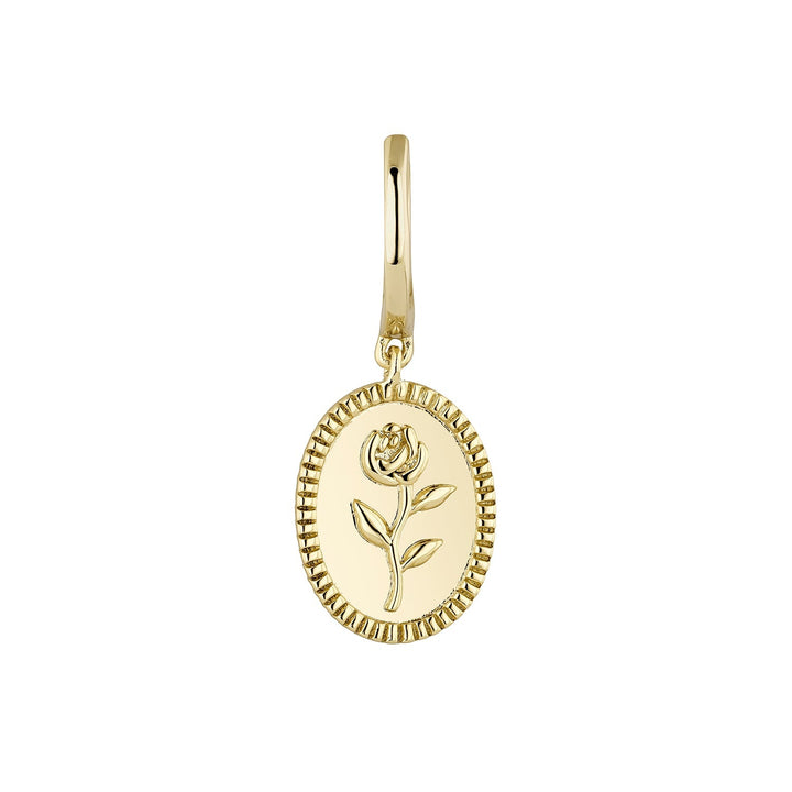 BRINCO PIERCING ARGOLA ROSA