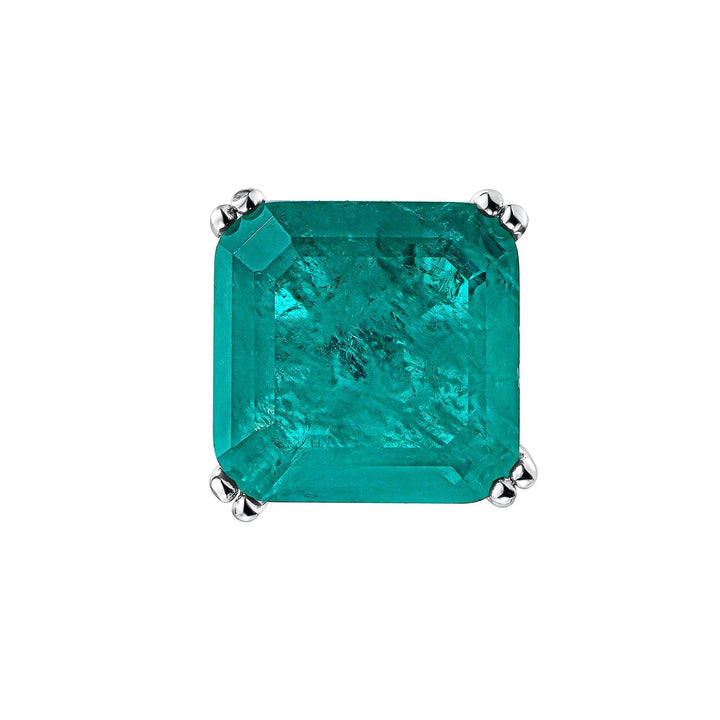 Ohrring Piercing Aruba  