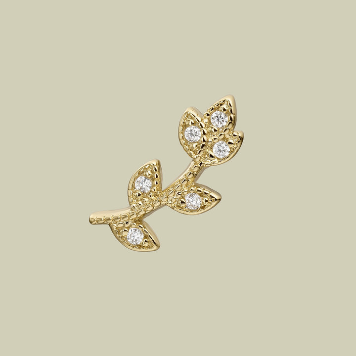 KLETTEROHRSCHMUCK CALATEA