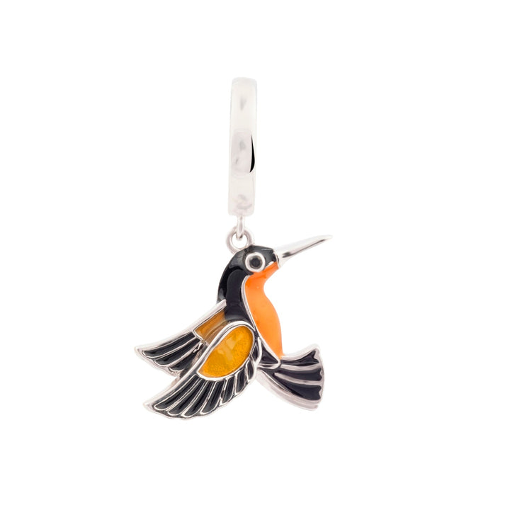 PIERCING OORBELLEN KOLIBRIE