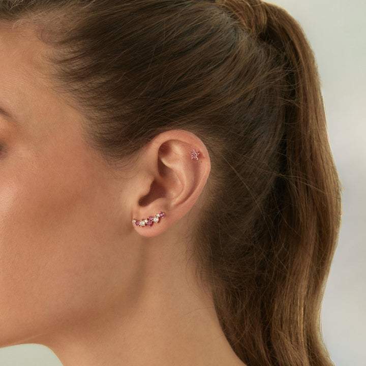 ANNE R CLIMBER EARRING  
