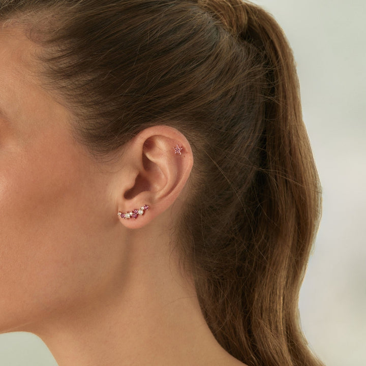 ROSEGOLD SEESTERN PIERCING OHRRING