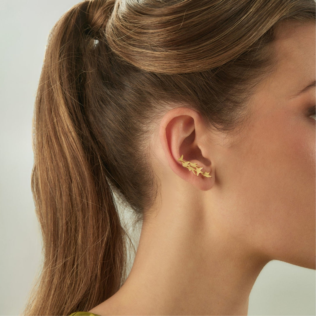 Kāpelējošs auskars Swallow