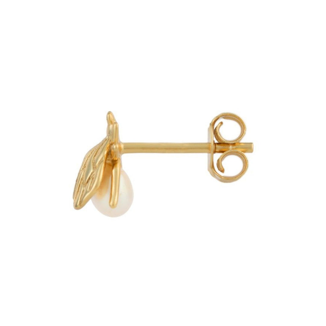 BRINCO PIERCING PEQUENO MOSQUITO