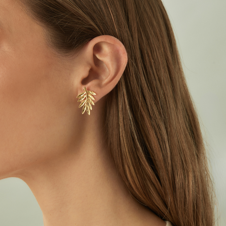 BOUCLES D&